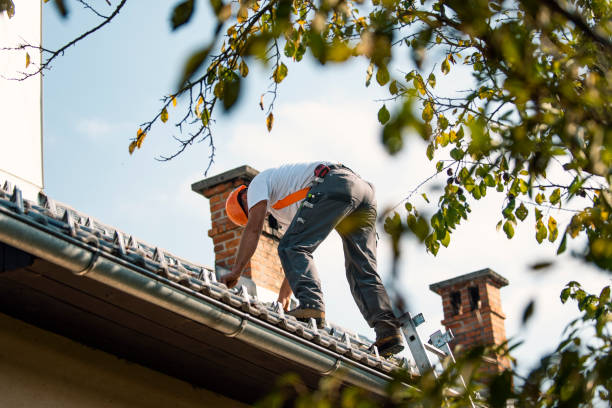 Best Flat Roof Repair Services  in Byram, MS