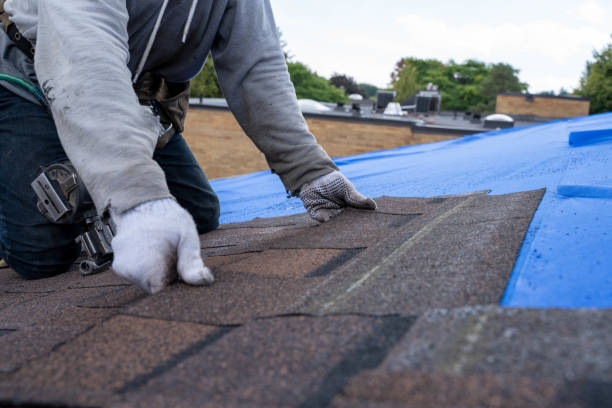 Best New Roof Installation  in Byram, MS
